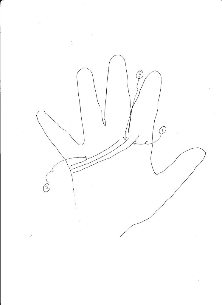 Different kinds of the length of the heart line have different meanings.