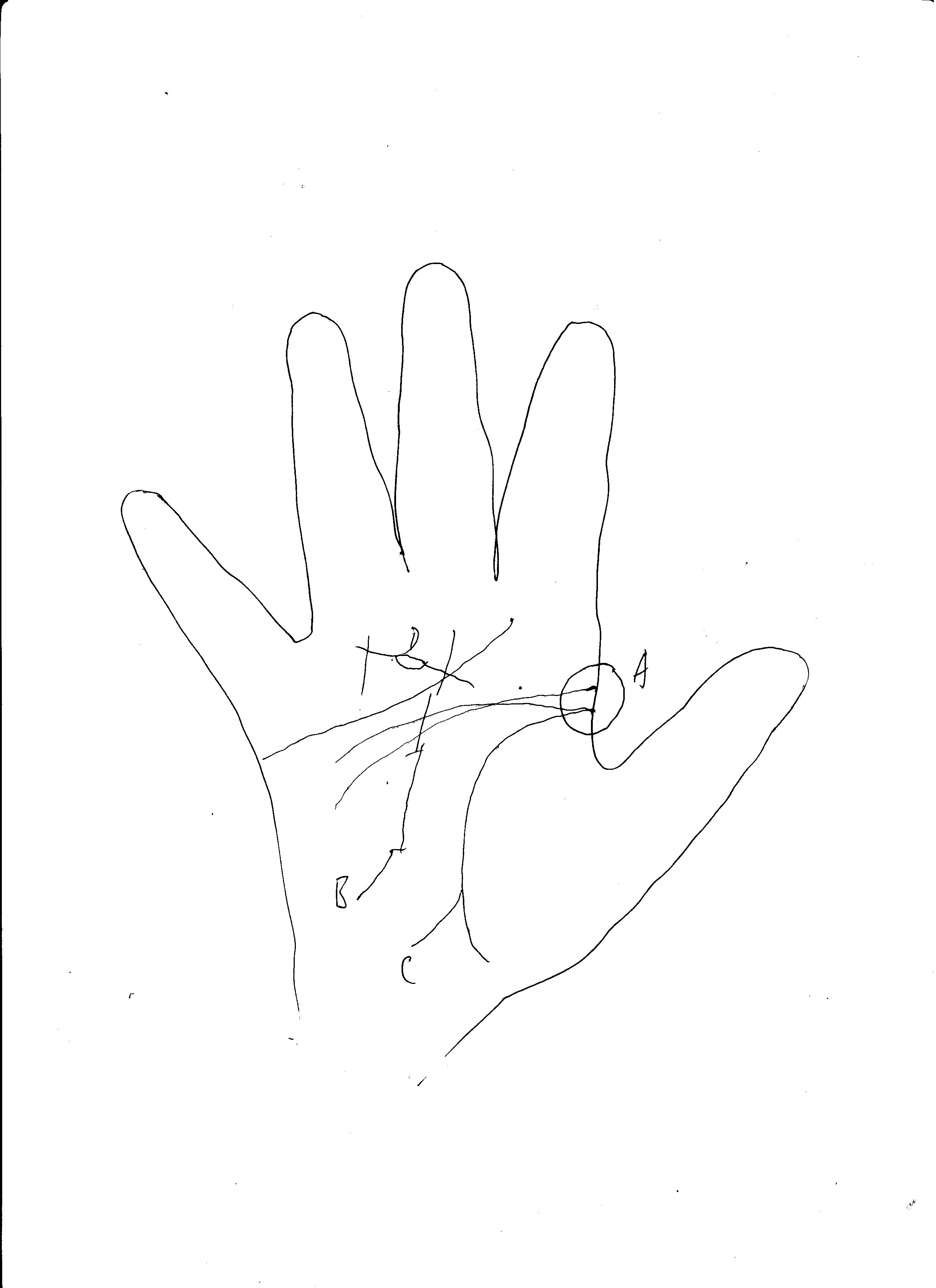 Palm Paper Shift Pattern Palm Pattern that the Owner stays overseas for a long time – Palmist's blog