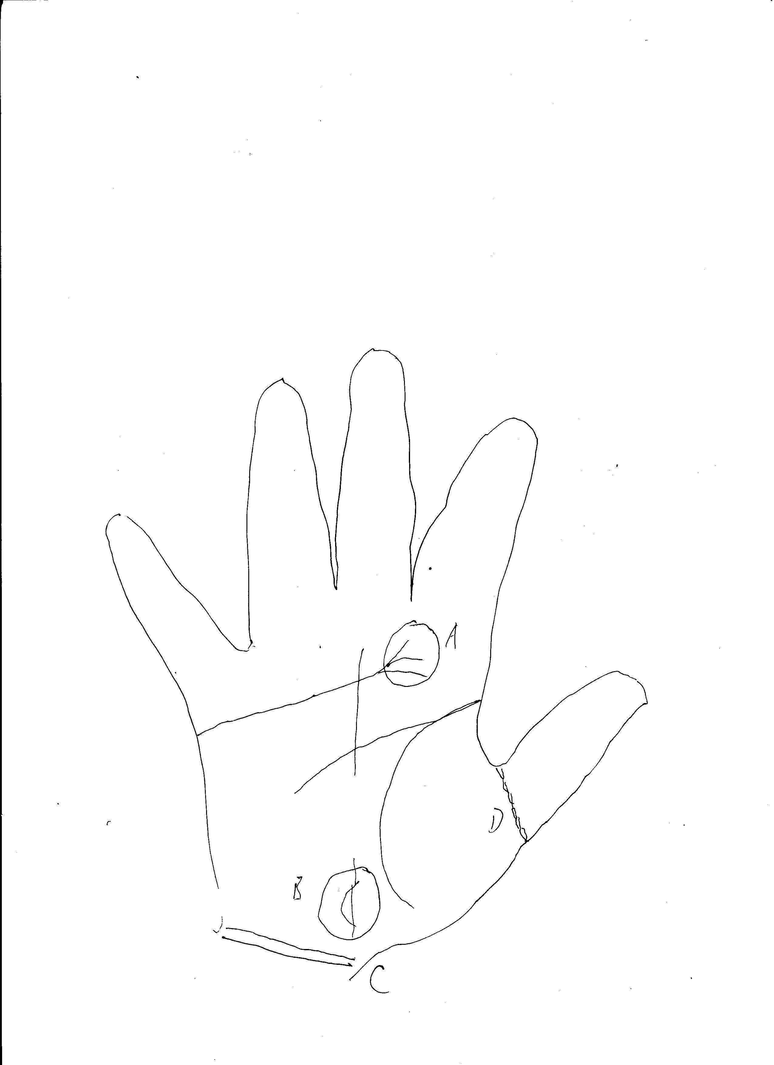 Palm Pattern that the Owner is a Good Wife – Palmist's blog