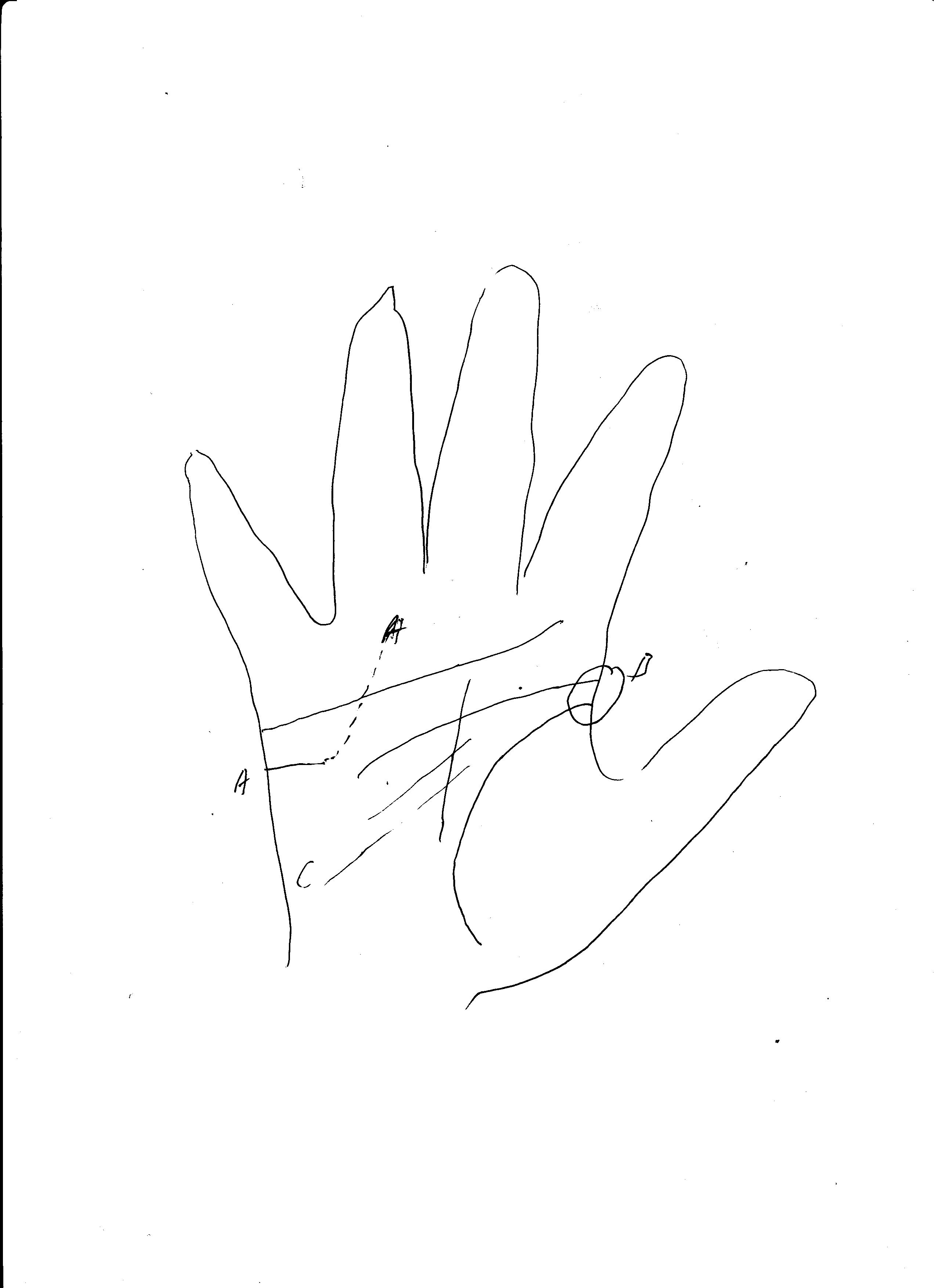 Palm Paper Shift Pattern Palm Pattern that the Owner will be loved by the younger Man – Palmist ...